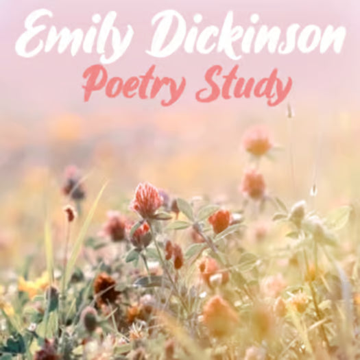 Emily Dickinson Poetry Analysis — 3 Poems