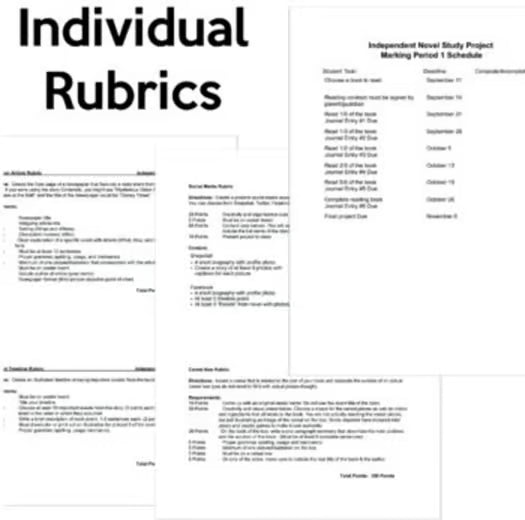 Independent Novel Study Project for Any Book