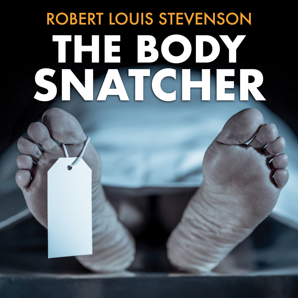 The Body Snatcher Short Story Analysis