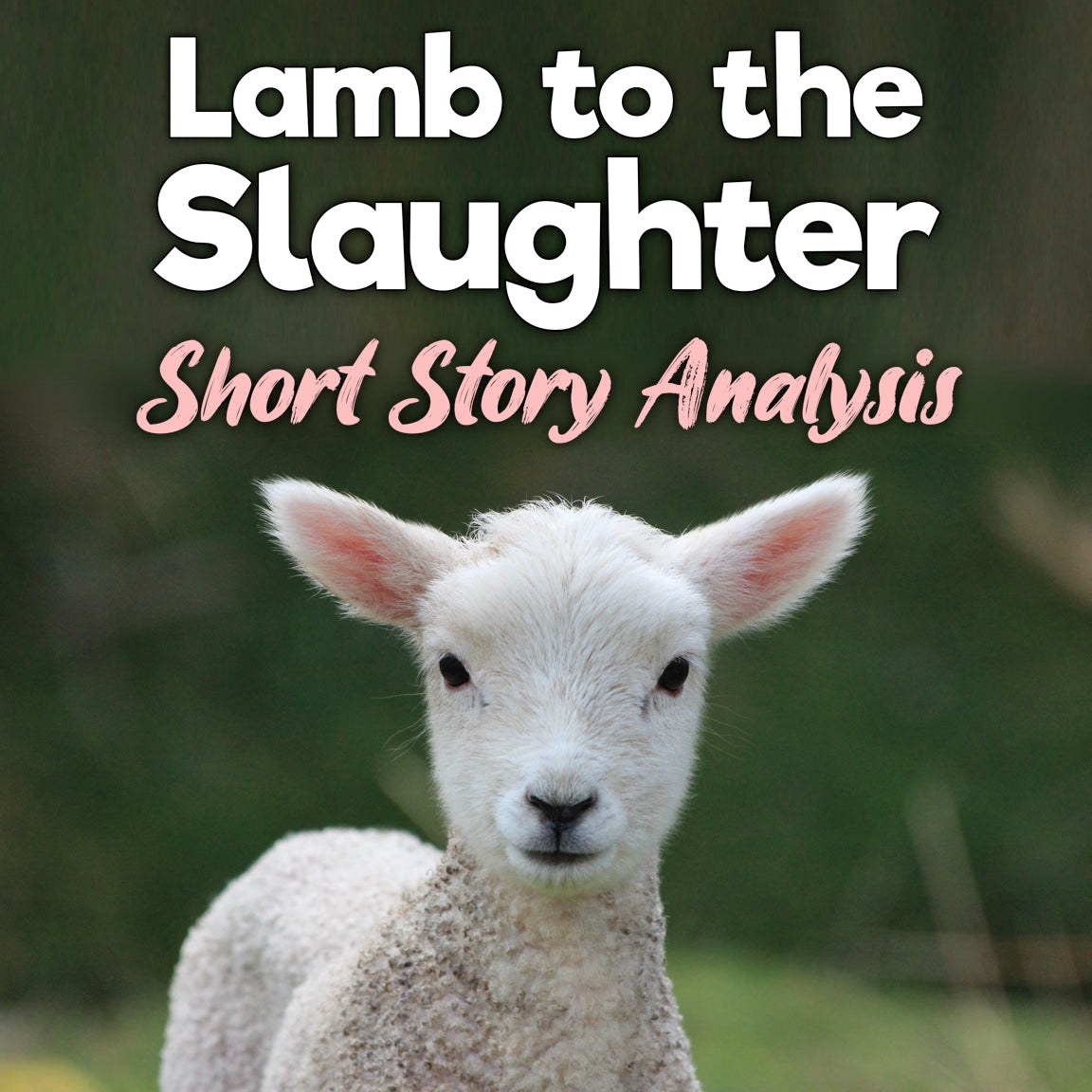Lamb to the Slaughter Short Story Analysis