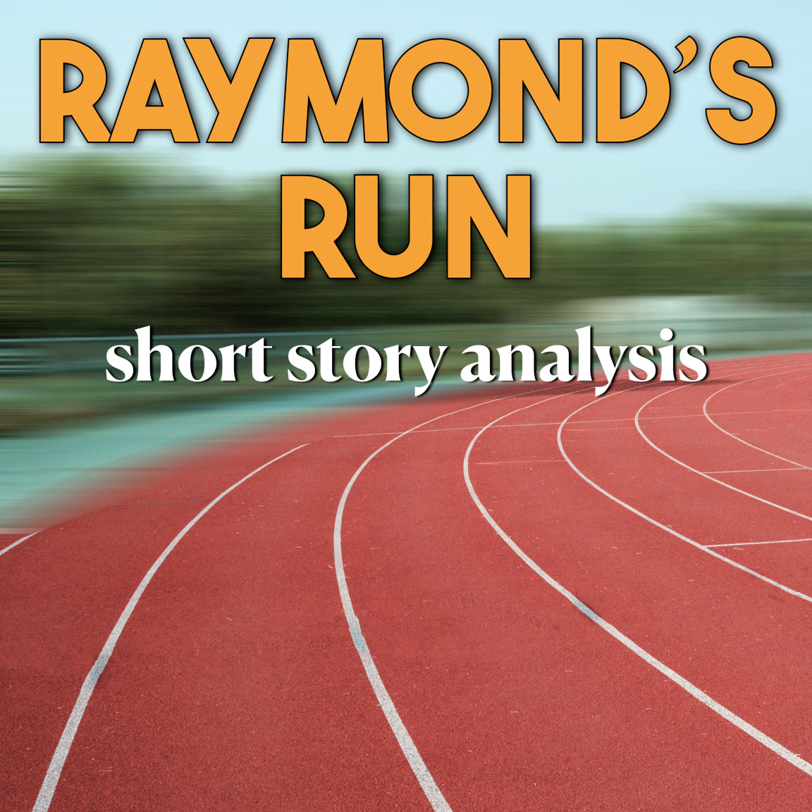 Raymond’s Run Short Story Analysis